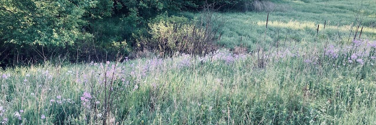 Robert Gordon banner