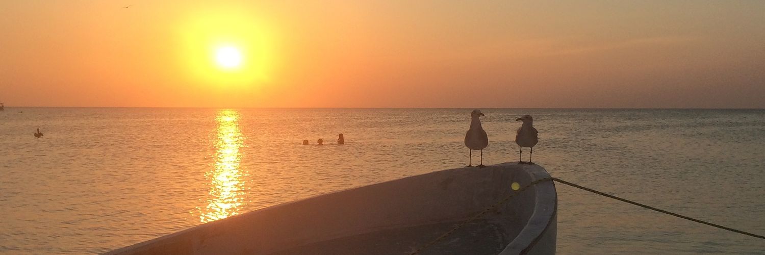 TwiLin's profile banner image