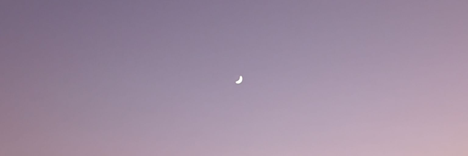SarahGimnez's profile banner image