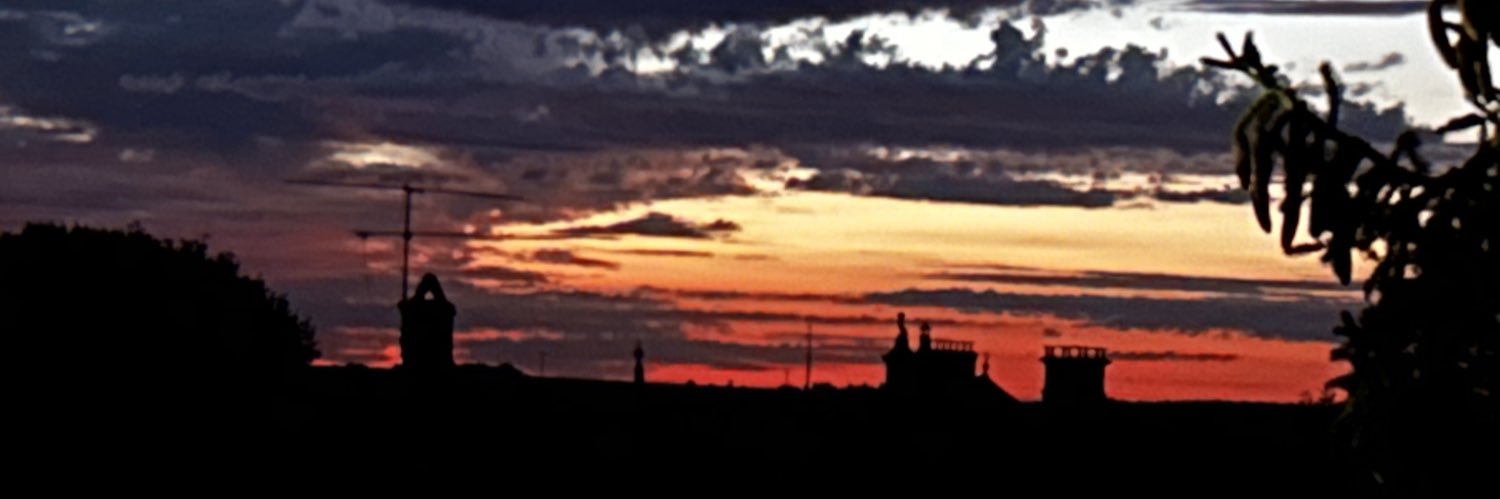 Serotonine0's profile banner image