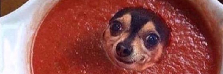 KyleMiller0's profile banner image