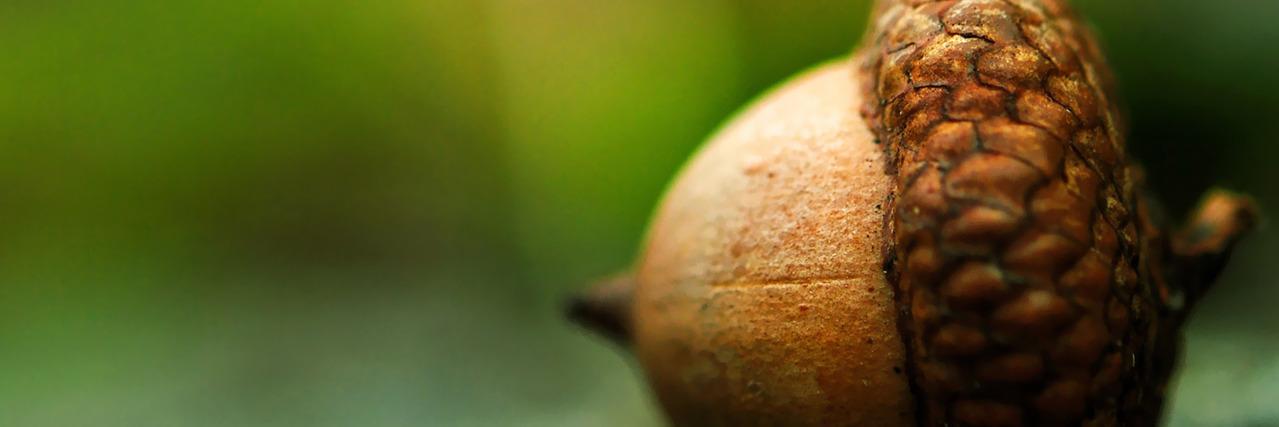 arbguy85's profile banner image