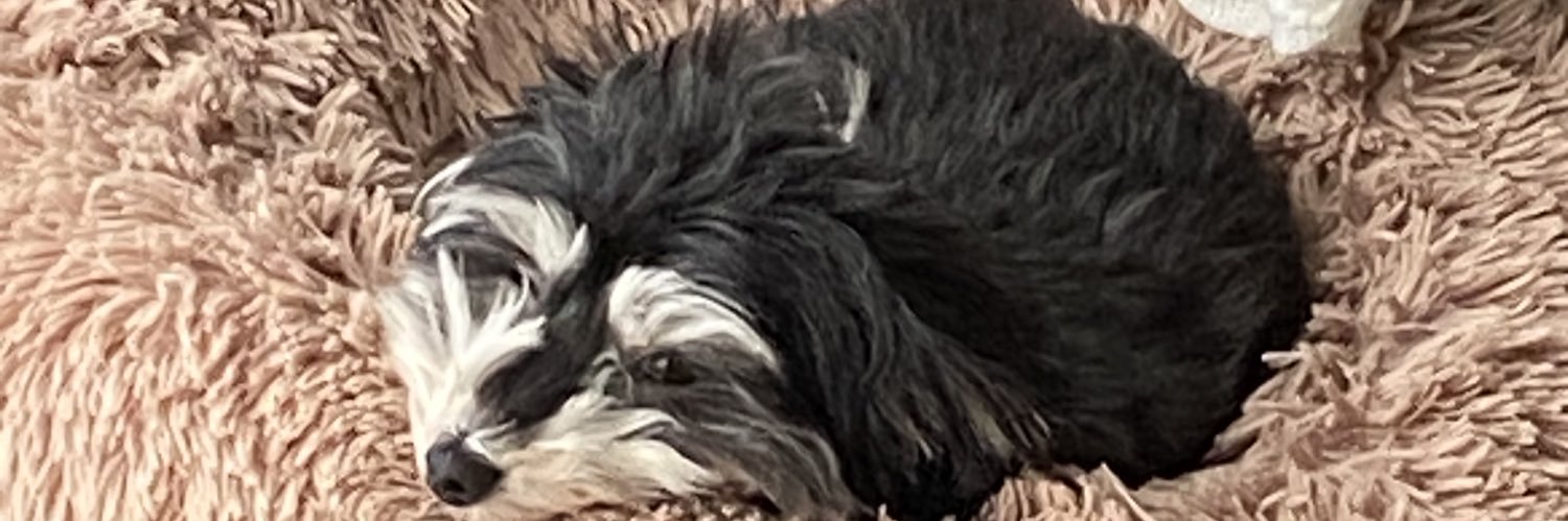Nick Joseph banner