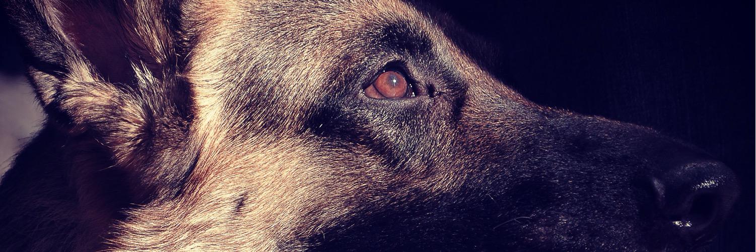 OIVANCCULBEAUX's profile banner image