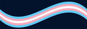 tsgirlsofiax's profile banner image