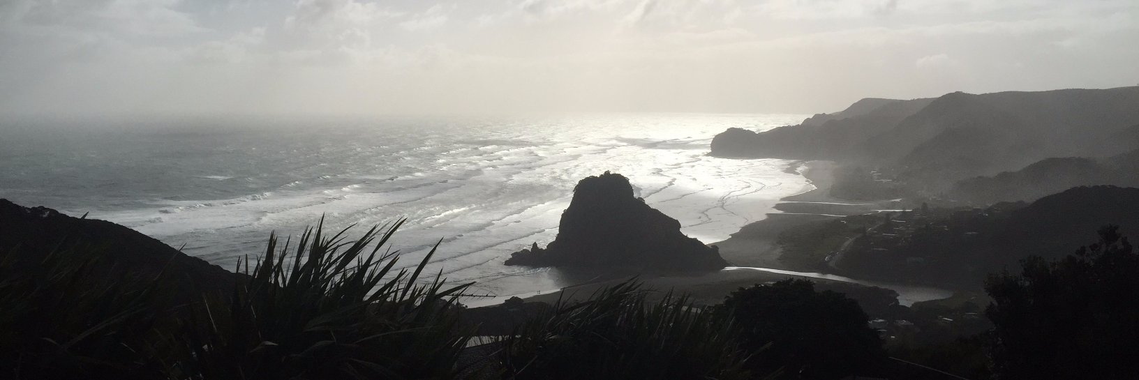 Western Leader banner