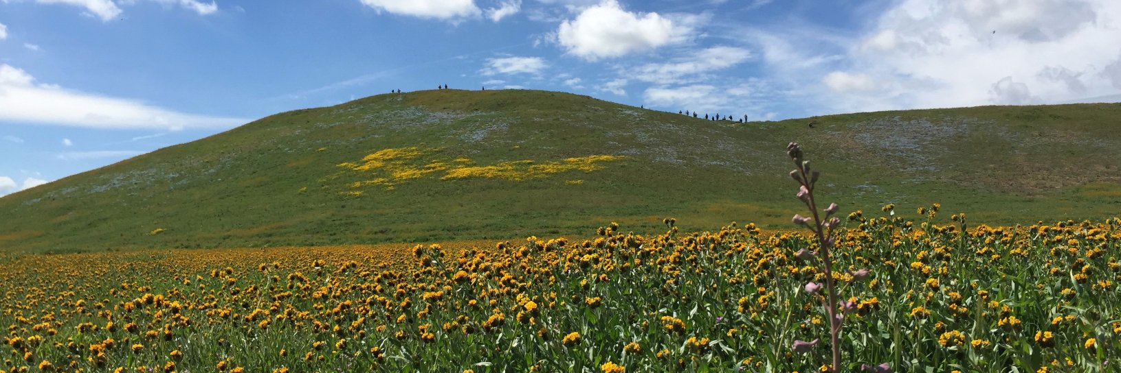 FALLOUT SHELTER banner