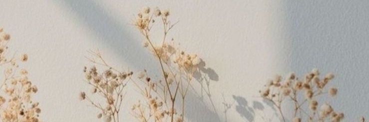 NoufallTook's profile banner image