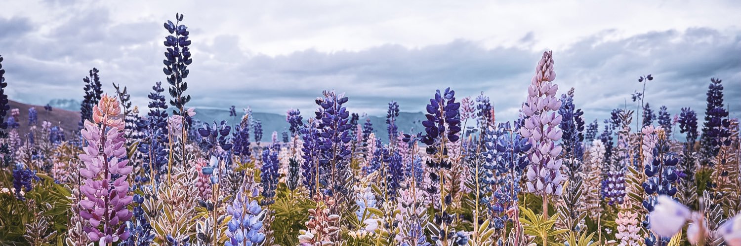 MaryCullen7's profile banner image