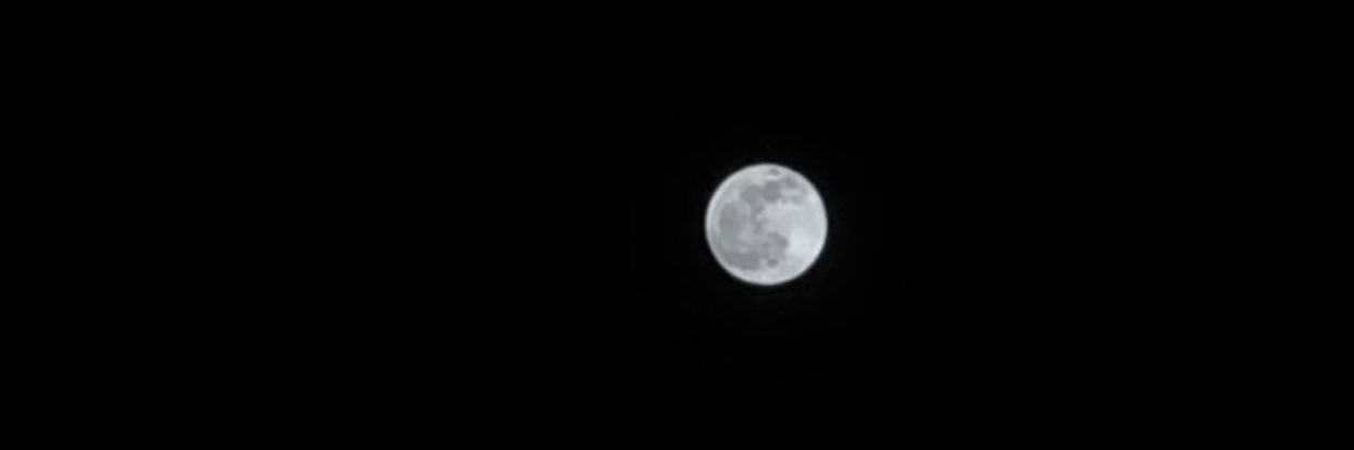 palomaR_7's profile banner image