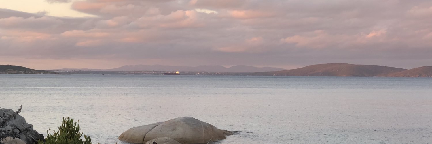 DebWhitePMQ's profile banner image