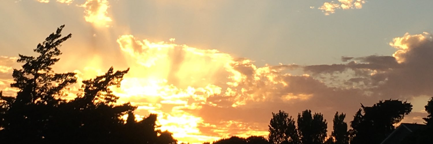 Charlie from Brooklyn banner