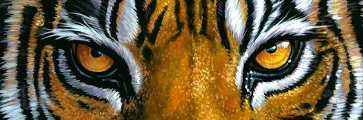 JustinPeresich's profile banner image