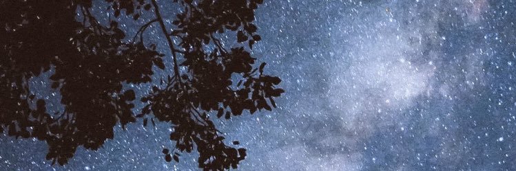 Jessi_Stratton's profile banner image