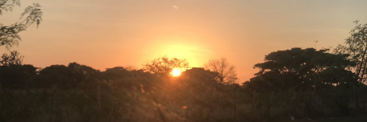 AntoElizabethR's profile banner image