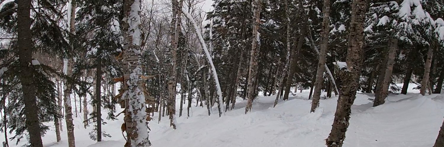RyanLeach15's profile banner image