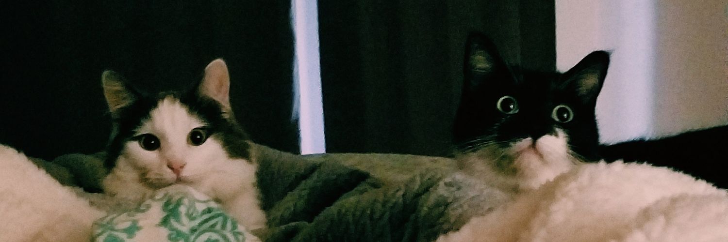 cesar martinez banner