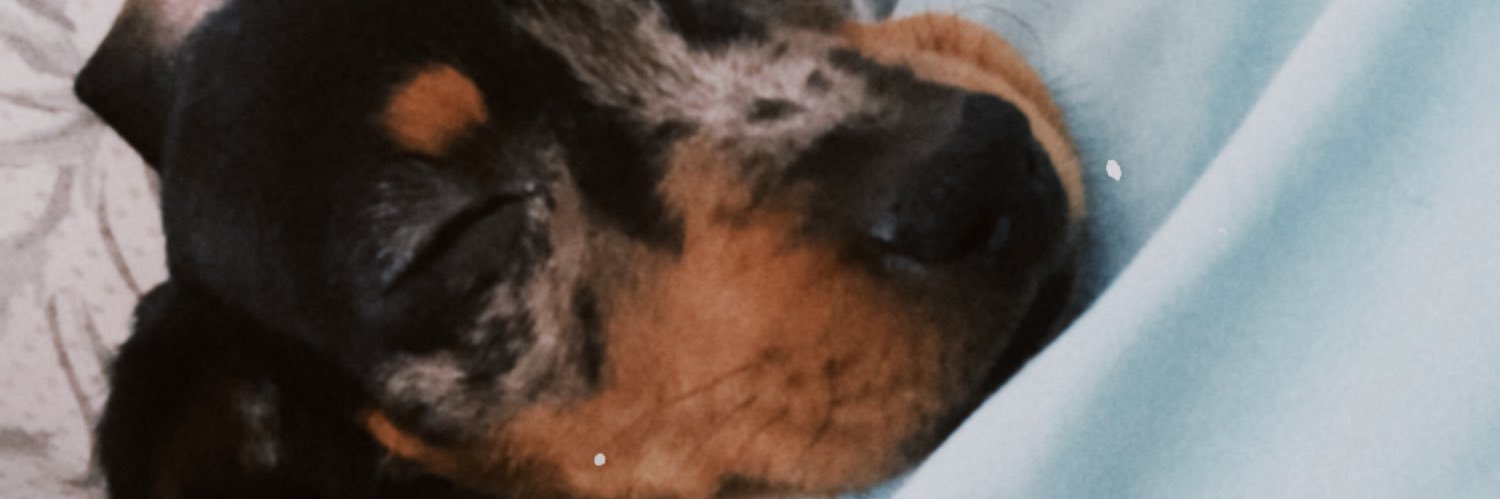 marcarbone's profile banner image