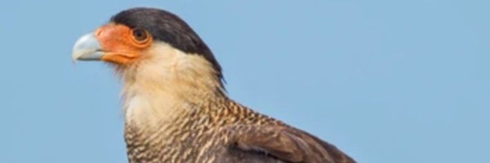 NoelFaral's profile banner image