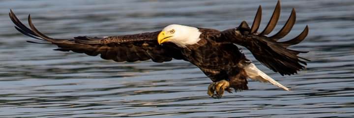 Marsh3454's profile banner image