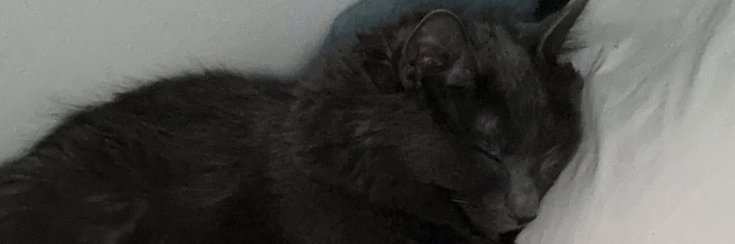 IgnacioMayte's profile banner image