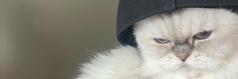 eylmsss's profile banner image
