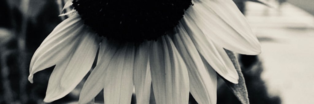 _bxrel's profile banner image