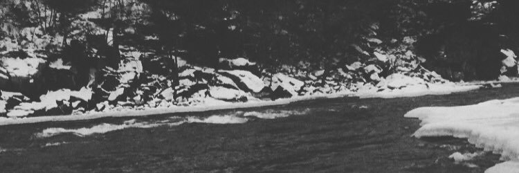 BaileyJean14's profile banner image