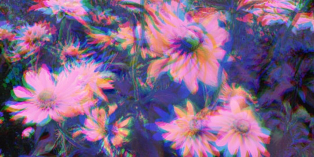 dannibabbby's profile banner image