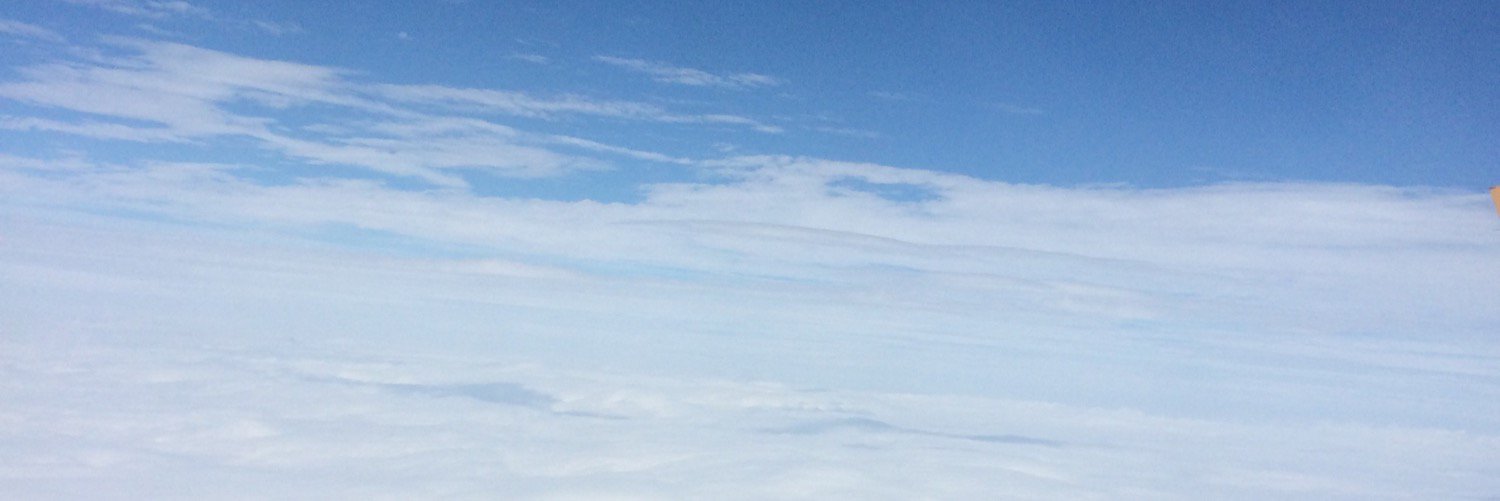 edrelyns's profile banner image