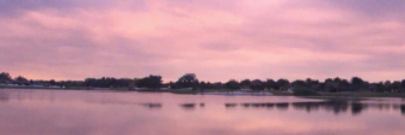 APalms30's profile banner image