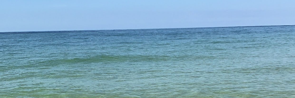 EllieSchott's profile banner image