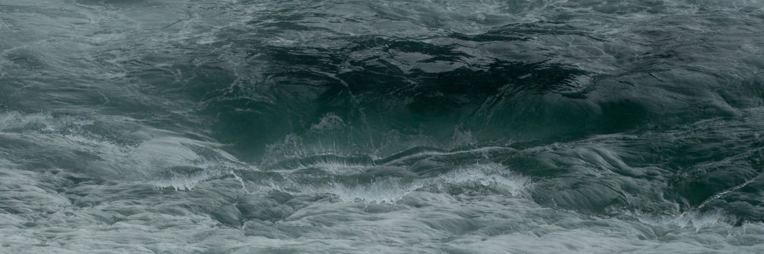 drgusgus's profile banner image