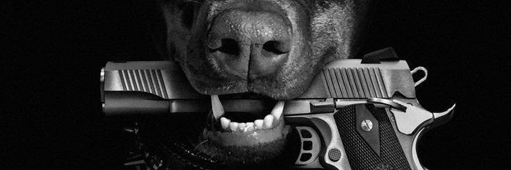 mbinga08's profile banner image