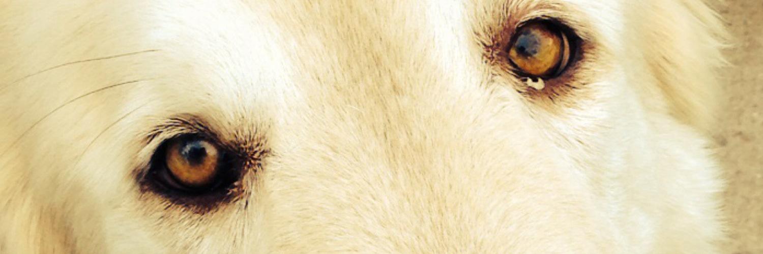 oscarsour55's profile banner image