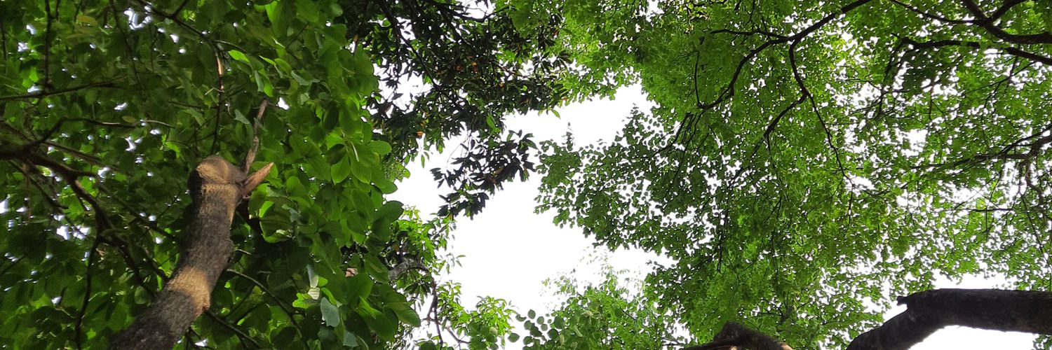 Radhika Gholkar banner