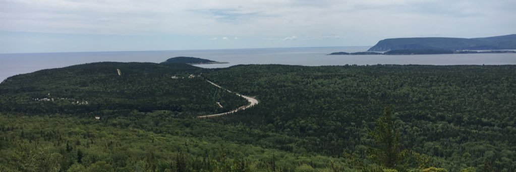 PattiEllsworth1's profile banner image