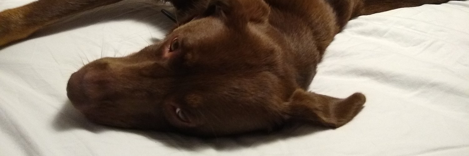 TheWisestHuman's profile banner image