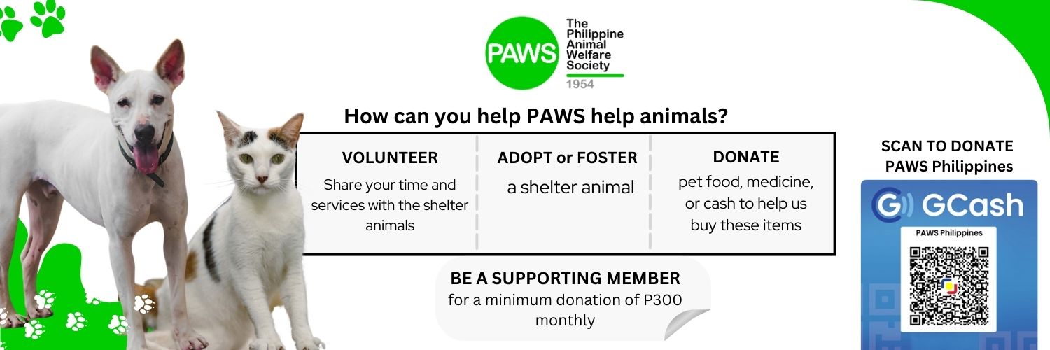 PAWS Philippines banner