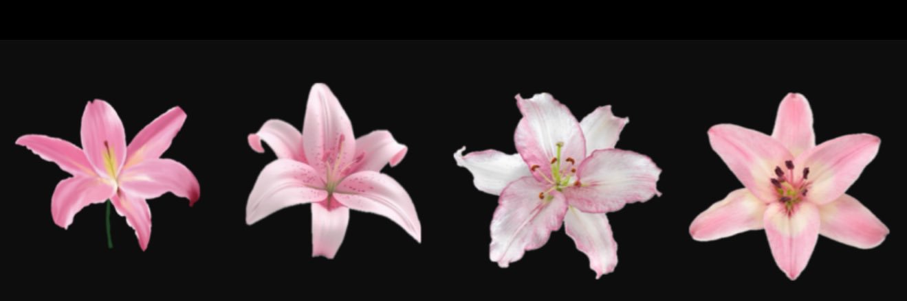 Ashleyibanezz's profile banner image
