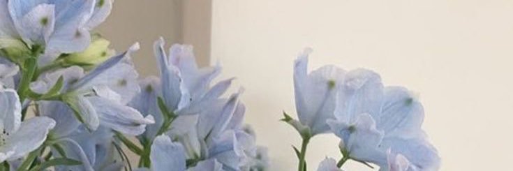 Snowflakesx3's profile banner image