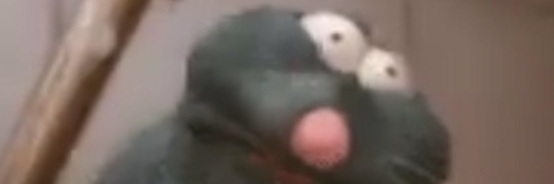 z0stert0aster's profile banner image