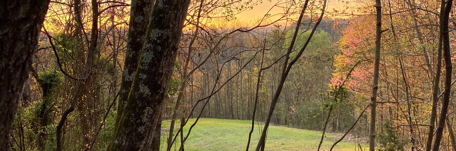 Matt4Davis's profile banner image