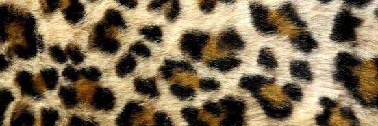 mac6091's profile banner image