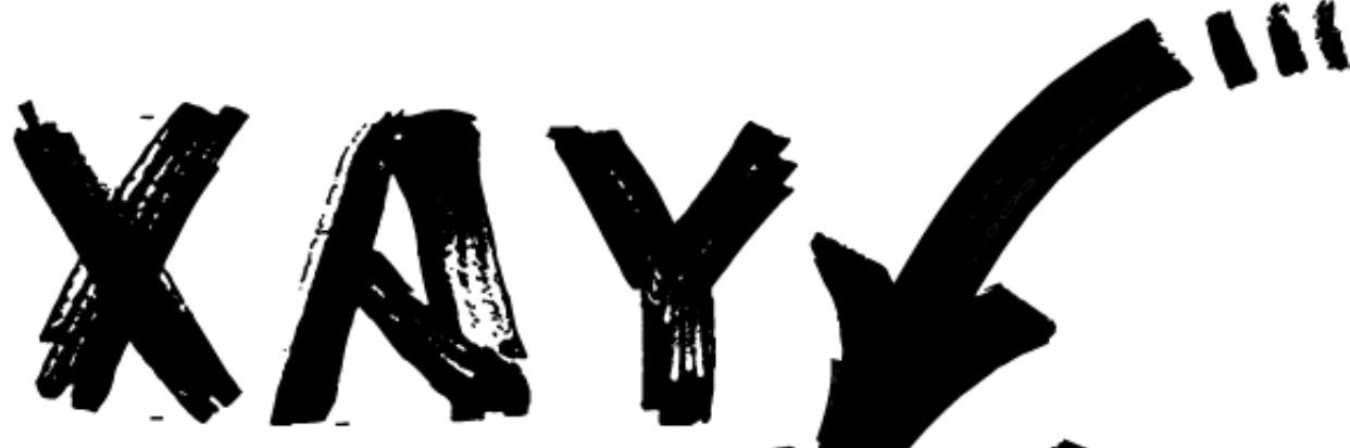 XAYNA banner