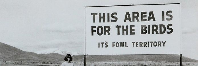 ratioed by the sea 🇦🇱🇺🇲 banner