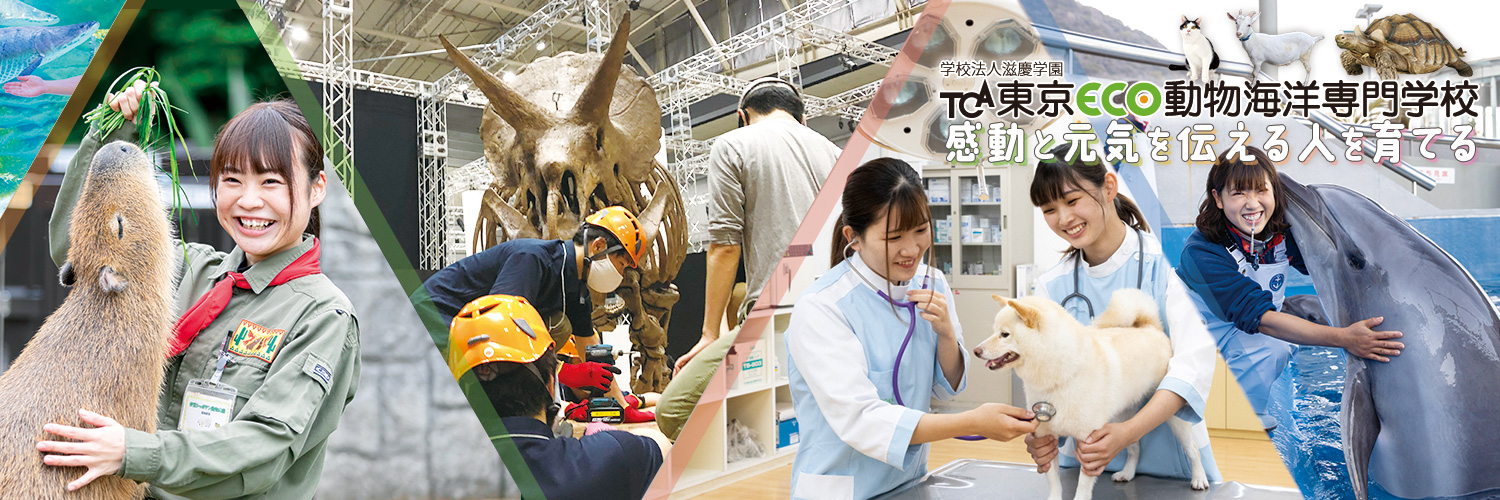 【公式】TCA東京ECO動物海洋専門学校 banner