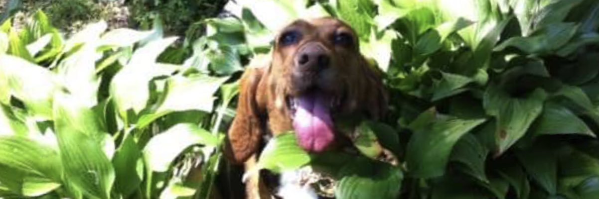 _juuuless's profile banner image