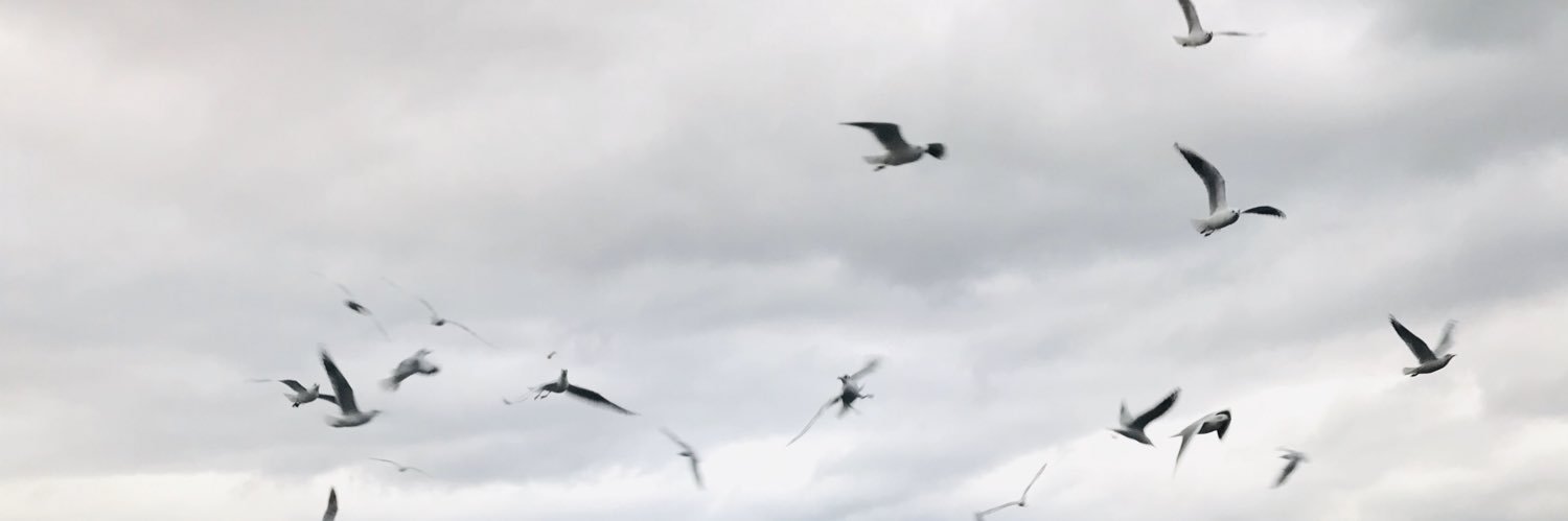 mertline1's profile banner image