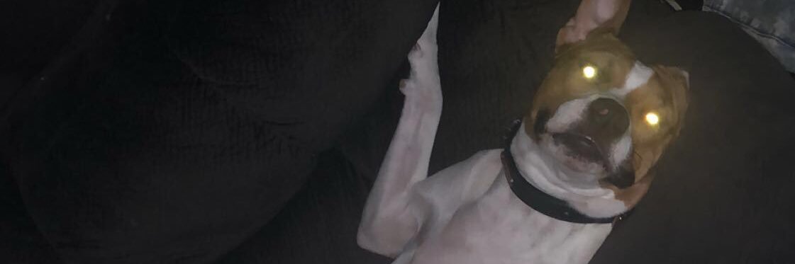 YoungBlizack's profile banner image